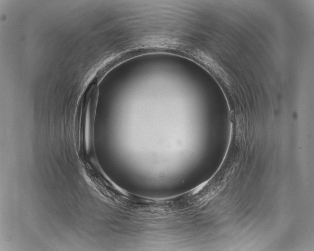 X0000068310580200604211206