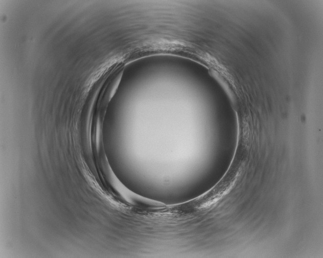 X0000068310581200604211206