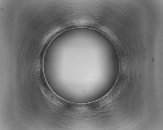 X0000068310583200604211206