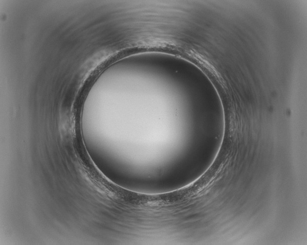 X0000068310584200604211206