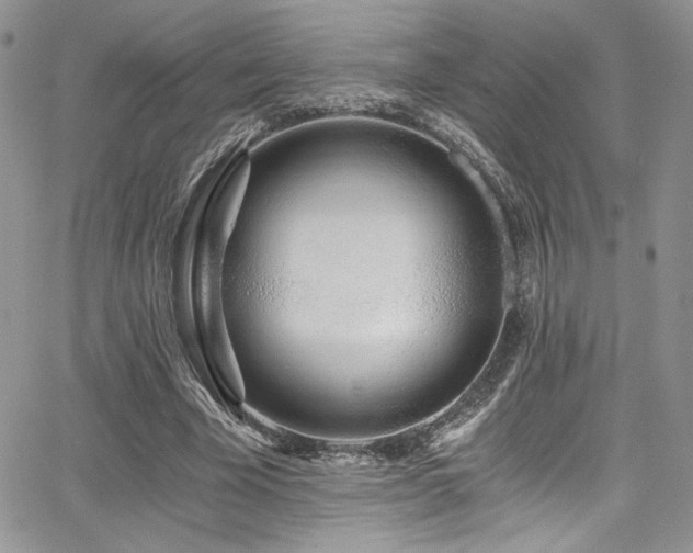 X0000068310585200604211206