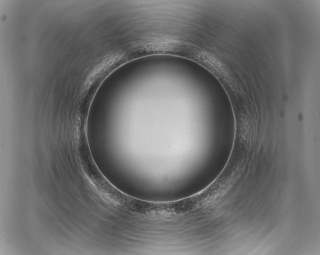 X0000068310586200604211206