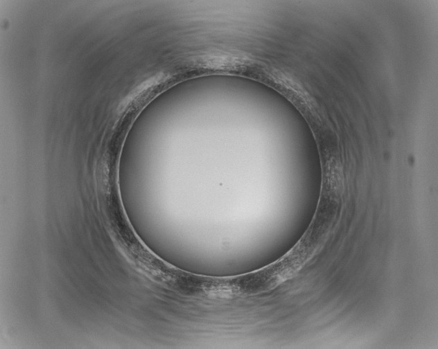 X0000068310587200604211206