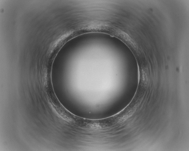 X0000068310588200604211206