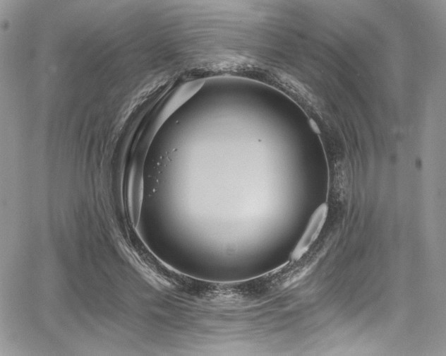 X0000068310589200604211206