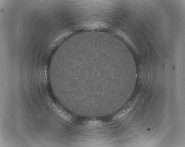 X0000068310590200604211206