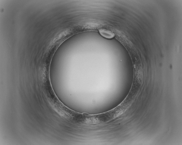 X0000068310591200604211206