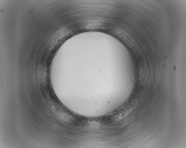 X0000068310592200604211206