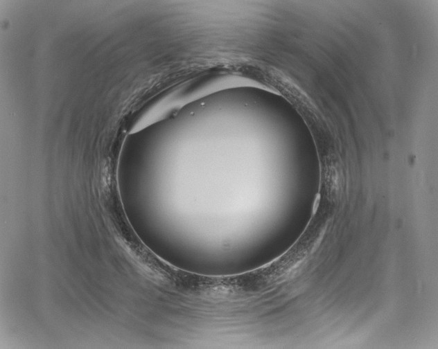 X0000068310593200604211206