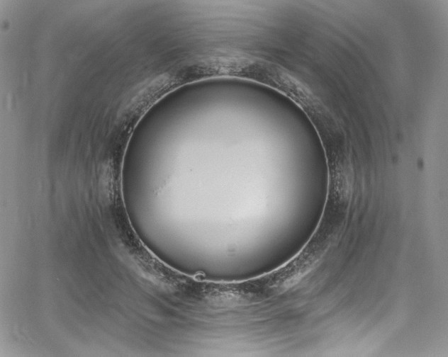 X0000068310594200604211206