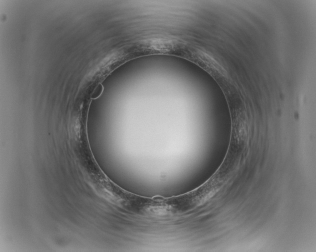 X0000068310595200604211206