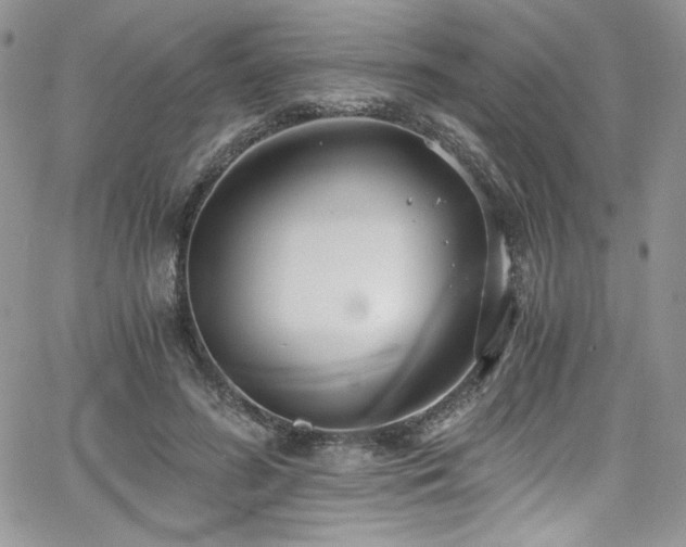 X0000068310596200604211206