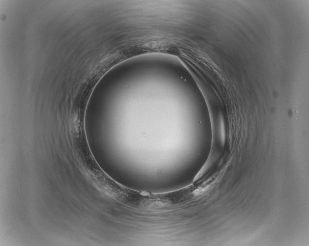 X0000068310597200604211206