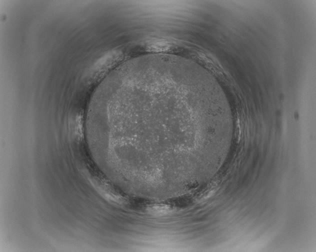 X0000068310598200604211206