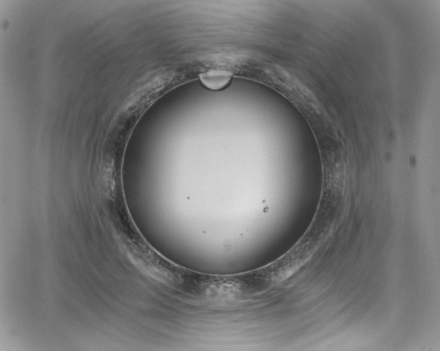 X0000068310599200604211206