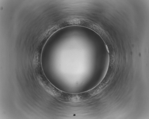 X0000068310600200604211206