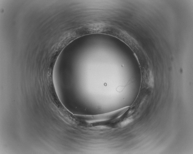 X0000068310601200604211206