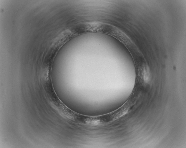 X0000068310602200604211206