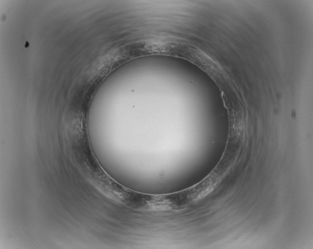 X0000068310603200604211206