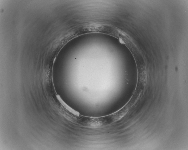 X0000068310604200604211206