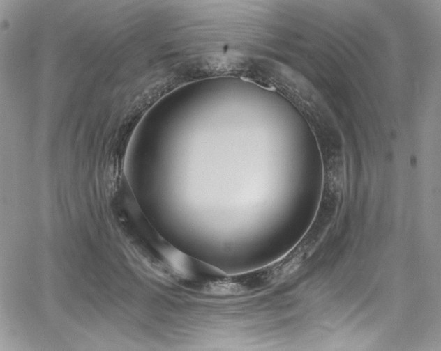 X0000068310605200604211206