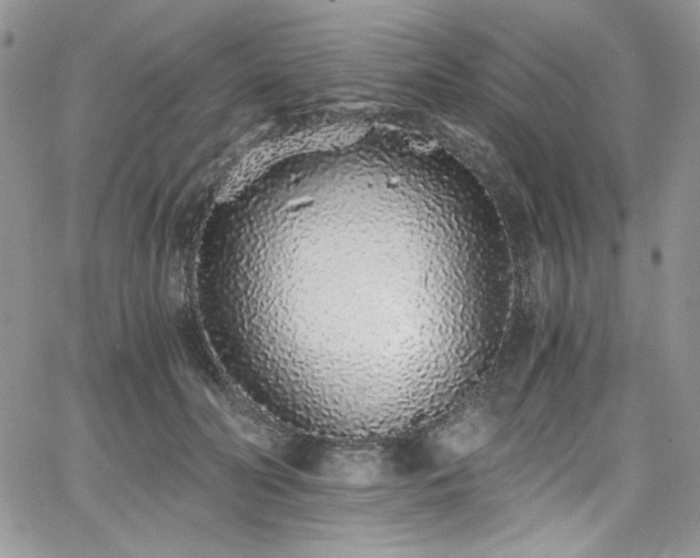 X0000068310606200604211206