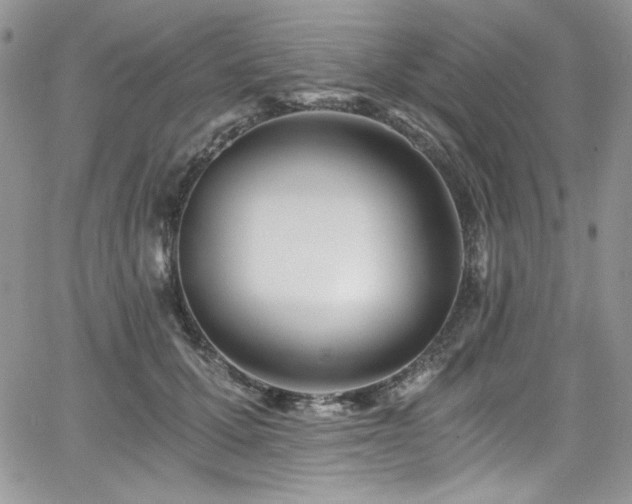 X0000068310607200604211206