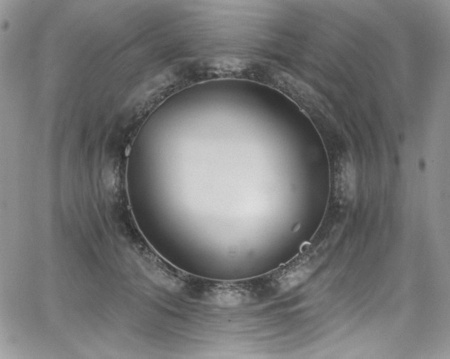 X0000068310608200604211206