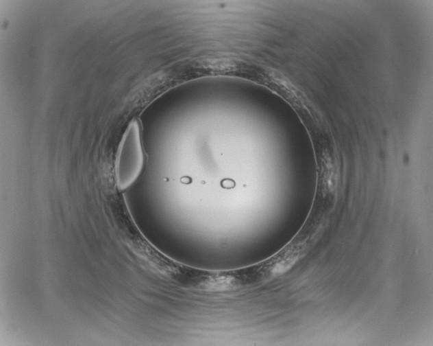 X0000068310609200604211206