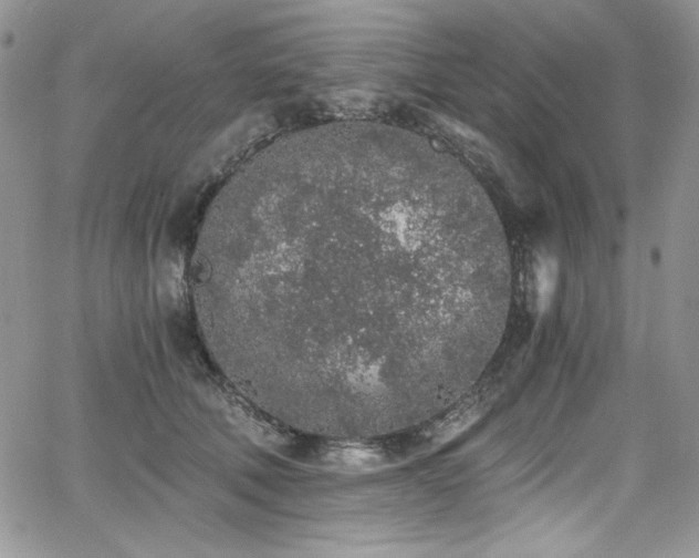 X0000068310610200604211206