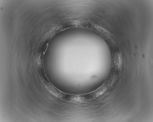 X0000068310611200604211206