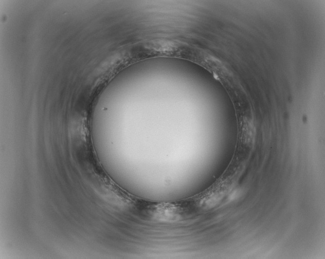 X0000068310612200604211206