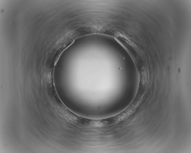 X0000068310613200604211206