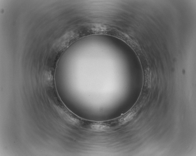 X0000068310614200604211206