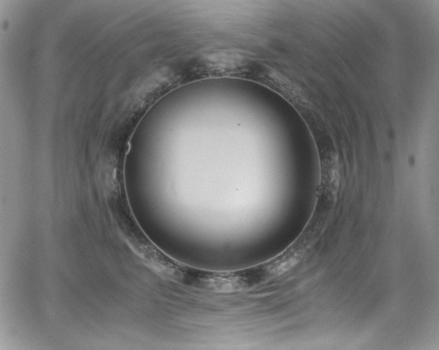 X0000068310615200604211206