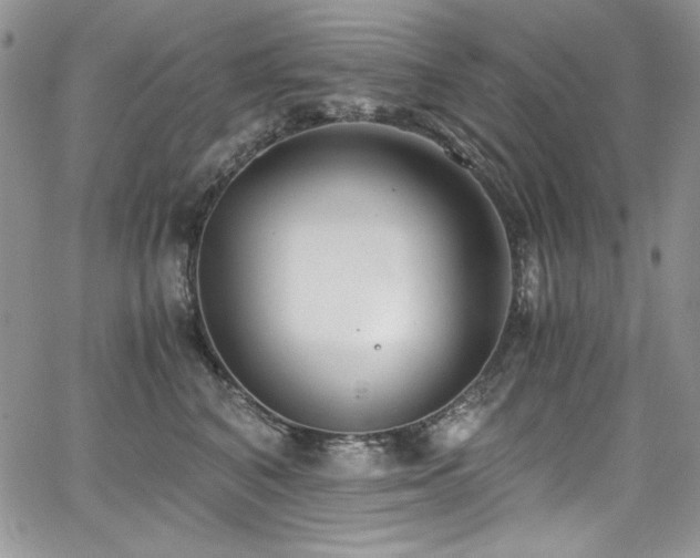 X0000068310616200604211206