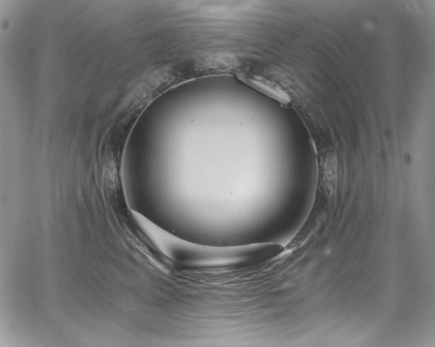 X0000068310617200604211206