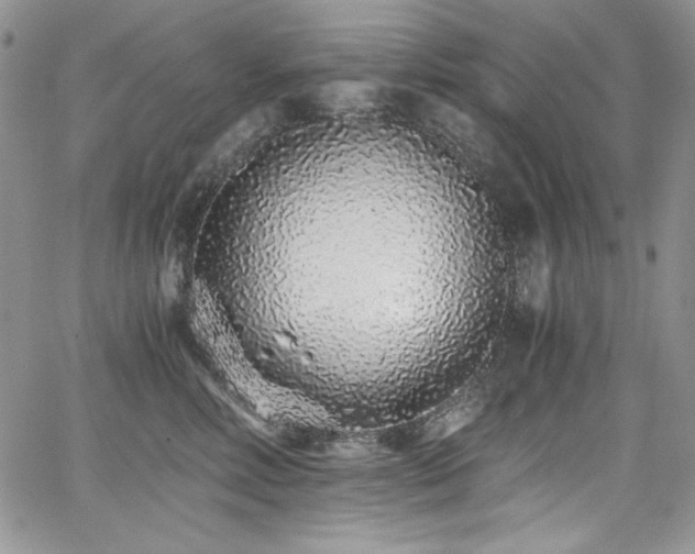 X0000068310618200604211206