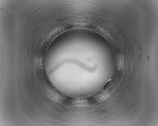 X0000068310619200604211206