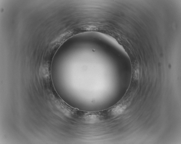 X0000068310620200604211206