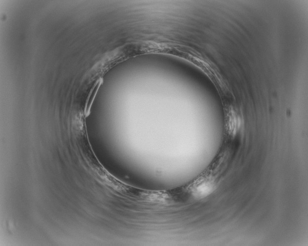 X0000068310621200604211206