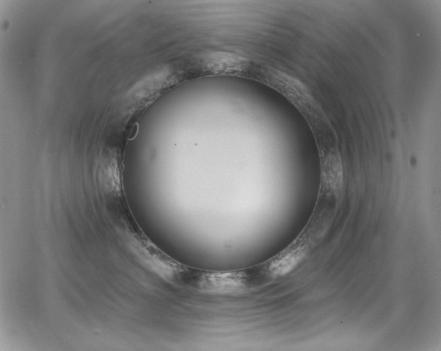 X0000068310622200604211206