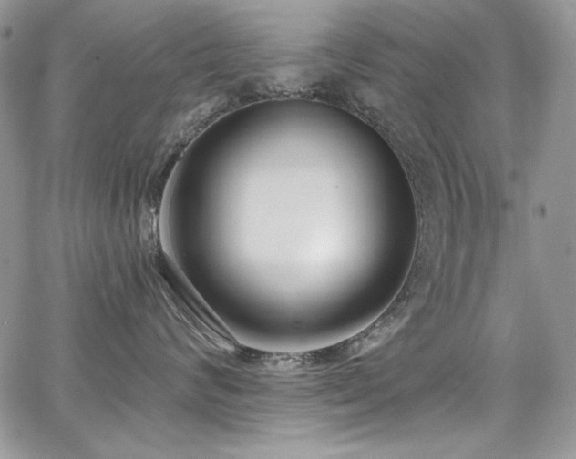 X0000068310624200604211205