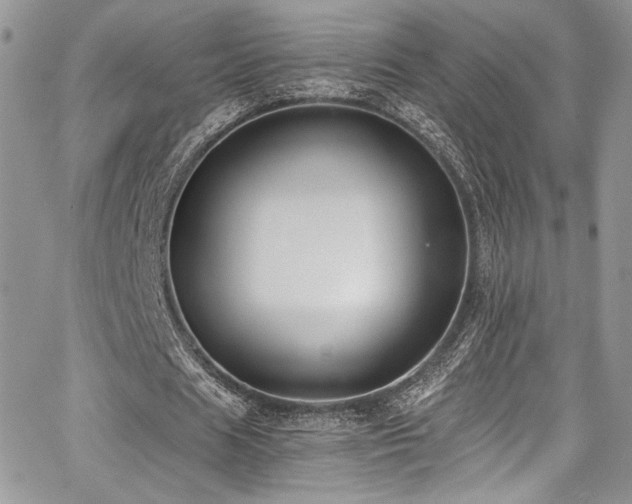 X0000068310625200604211205