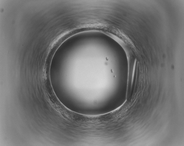 X0000068310628200604211205