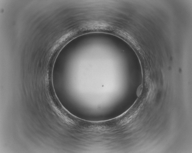 X0000068310629200604211205