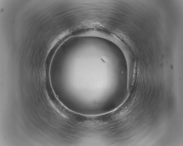 X0000068310630200604211205