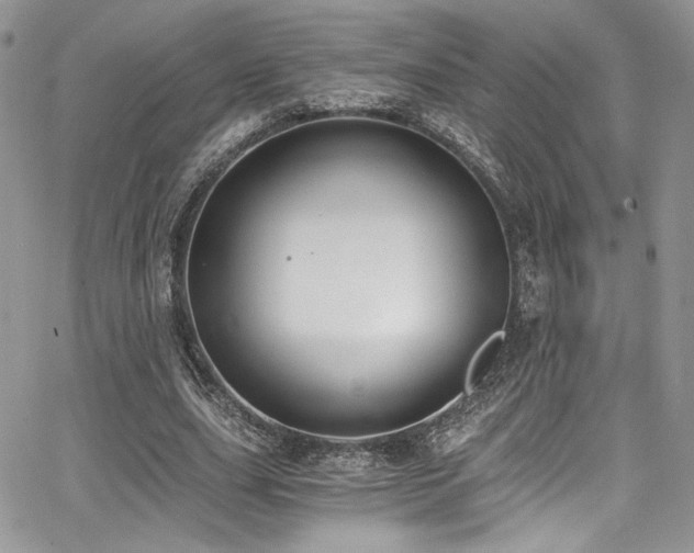 X0000068310631200604211205