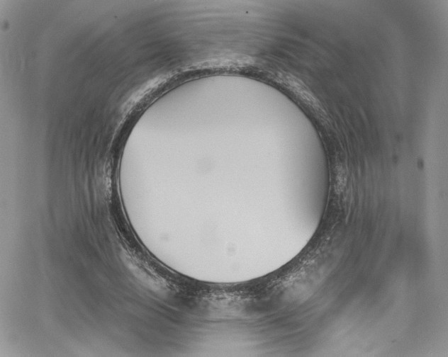 X0000068310632200604211205