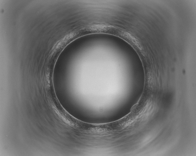 X0000068310633200604211205